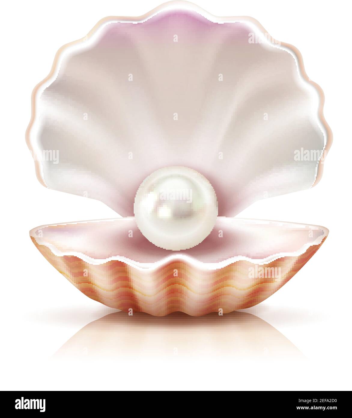 Madre di perla che splende in guscio aperto di acqua dolce o. seashell mollusco closeup immagine realistica illustrazione vettoriale Illustrazione Vettoriale