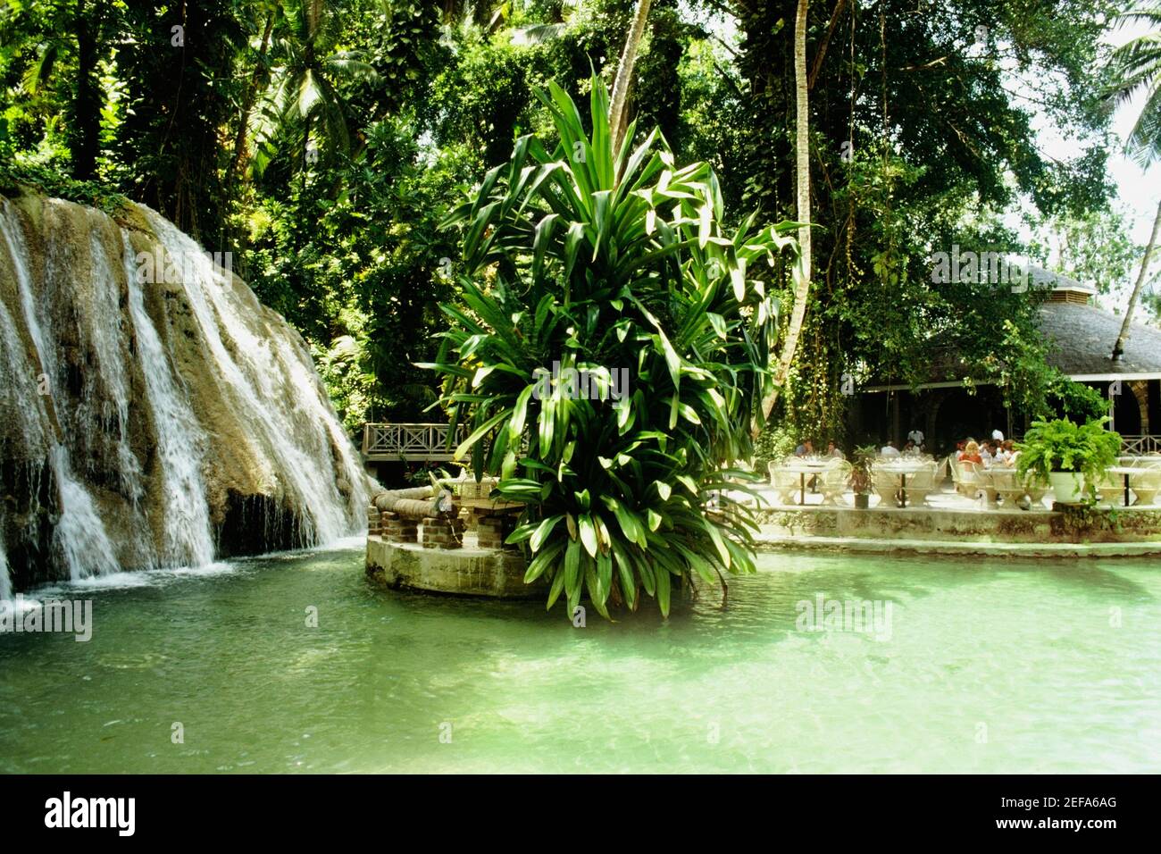 Vista laterale delle cascate del fiume DunnÅ½s, Giamaica Foto Stock