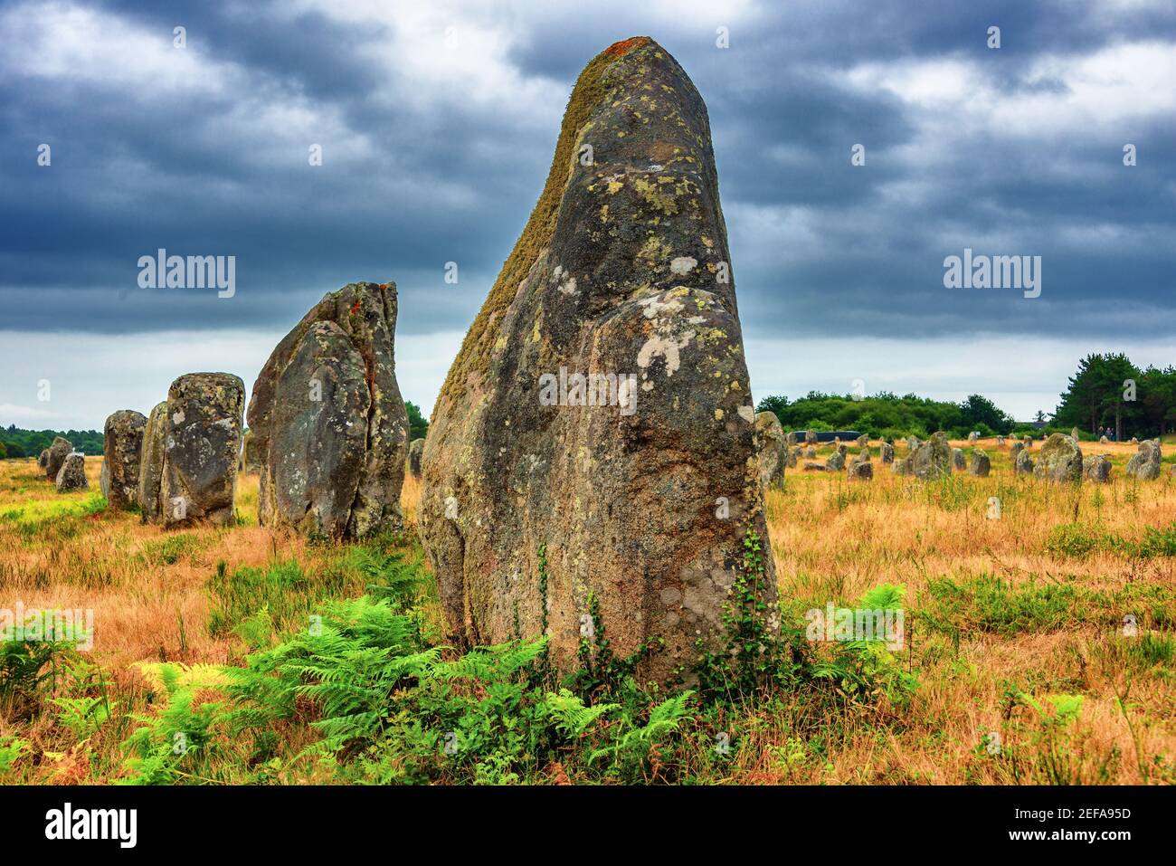 Allineamento dei megaliti Carnac in Bretagna, Francia , vista degli allineamenti in pietra monolitica preistorica in Bretagna il giorno delle piogge estive Foto Stock