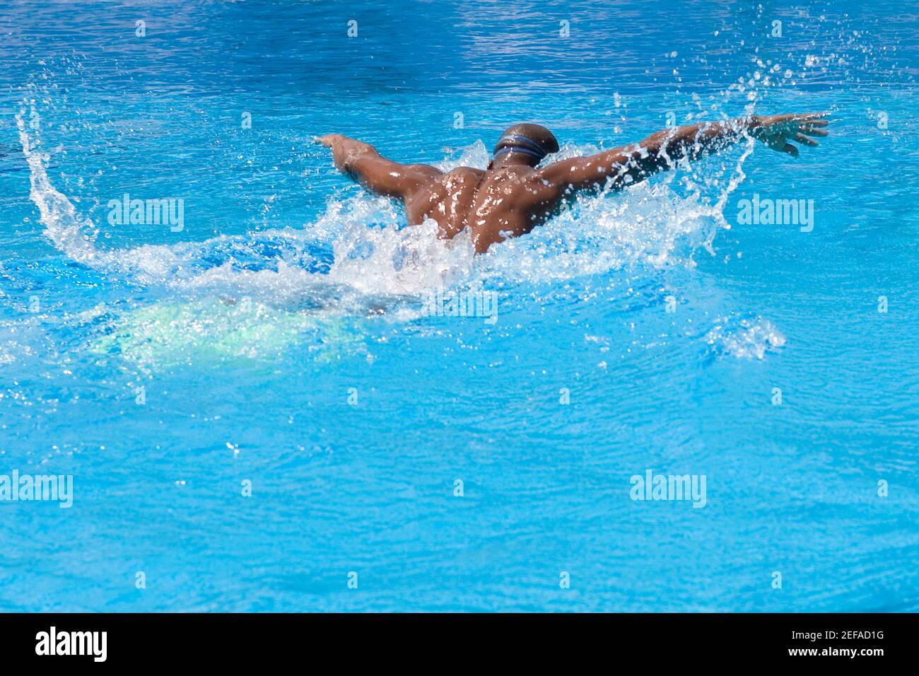 Vista posteriore di un uomo medio adulto che nuota la farfalla corsa in piscina Foto Stock