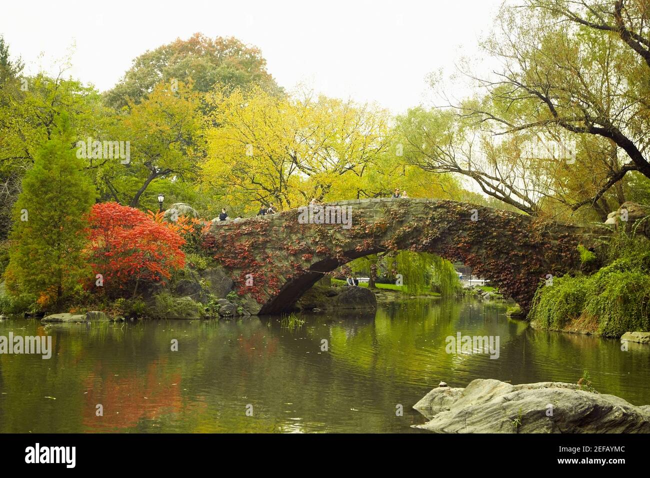 Ponte pedonale attraverso un fiume, Central Park, Manhattan, New York City, New York state, STATI UNITI Foto Stock