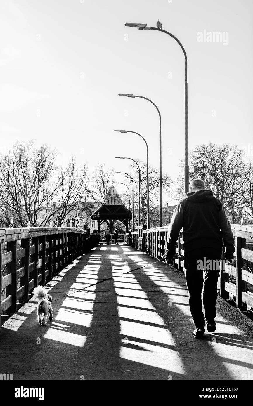 Immagine verticale in scala di grigi di una persona che cammina sul suo cane un ponte durante il giorno Foto Stock