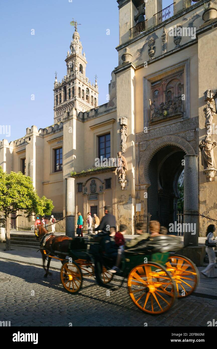 Carrozza trainata da cavalli e cattedrale, Siviglia, Andalusia, Spagna Foto Stock