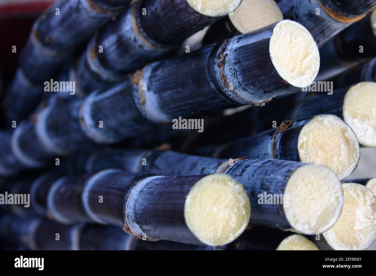 Primo piano di uno stack di bambù, Guillin, Cina Foto Stock