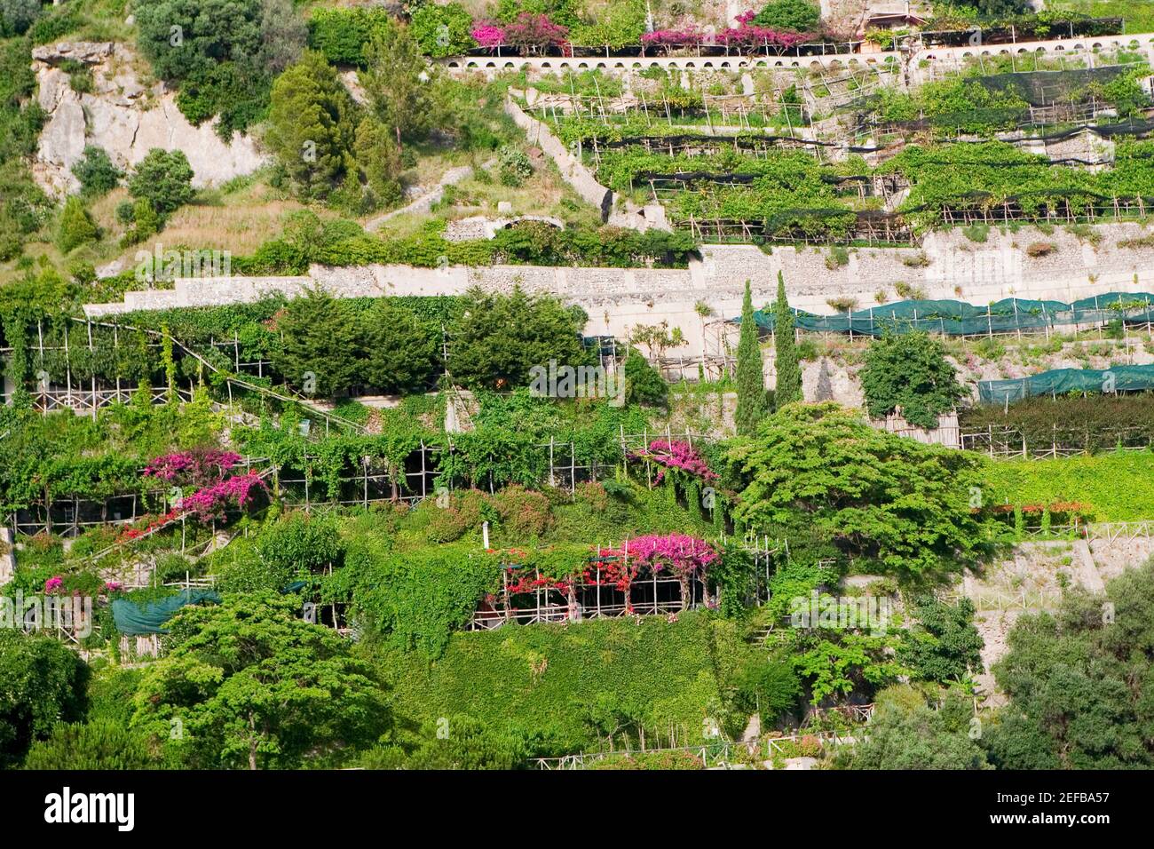 Vista ad angolo di un giardino, Salerno, Campania, Italia Foto Stock