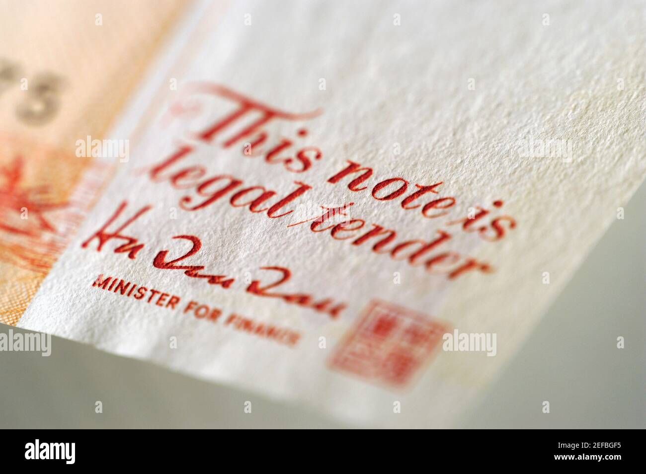 Primo piano estremo del testo sulla nota bancaria Foto Stock