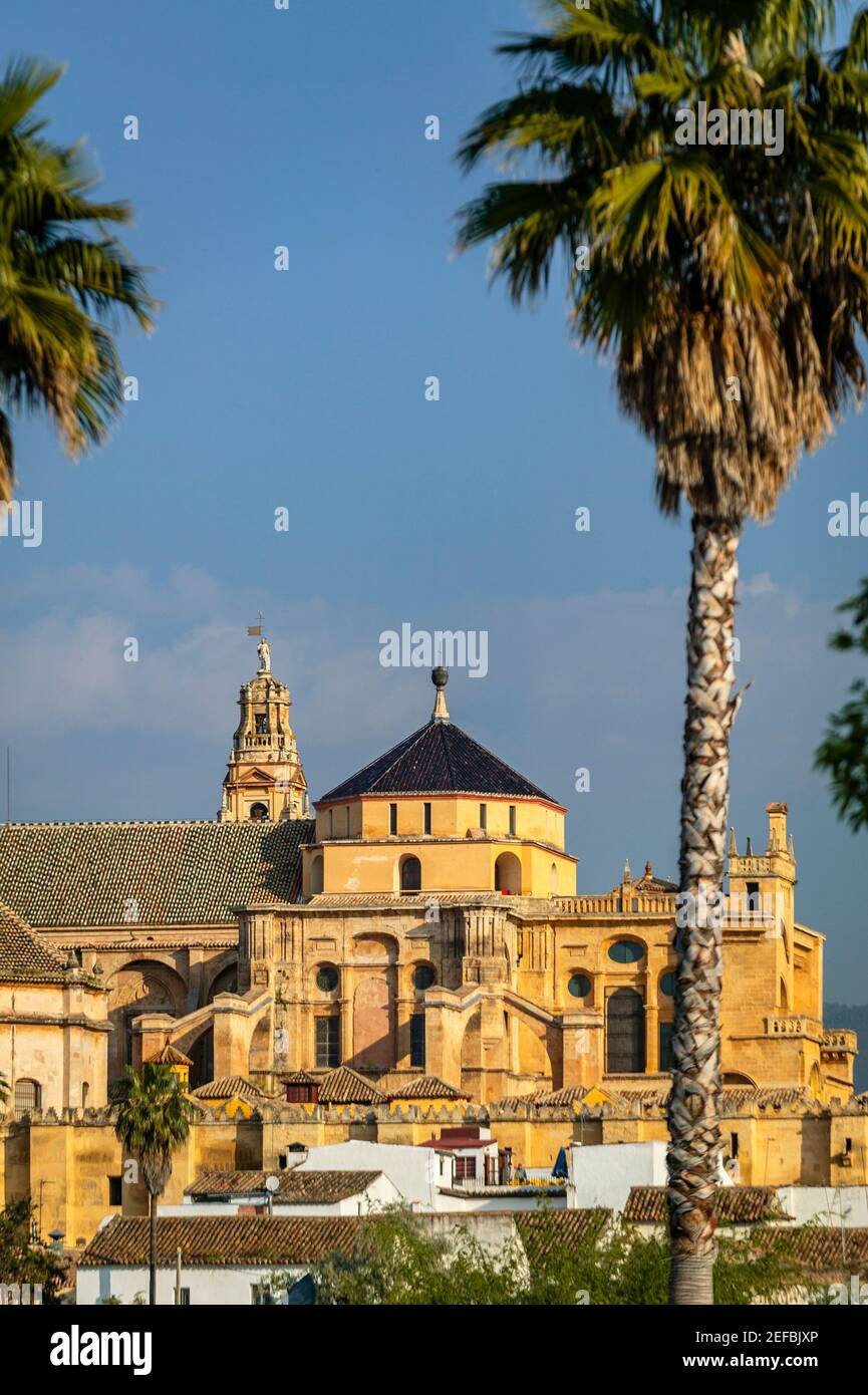 La Mezquita moschea e cattedrale, Cordoba, Andalusia Spagna Foto Stock