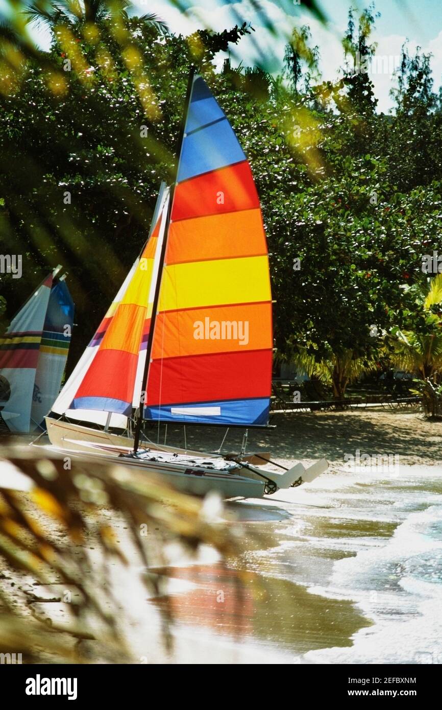 Vista laterale delle vele dai colori vivaci sulle tavole da windsurf, Giamaica Foto Stock