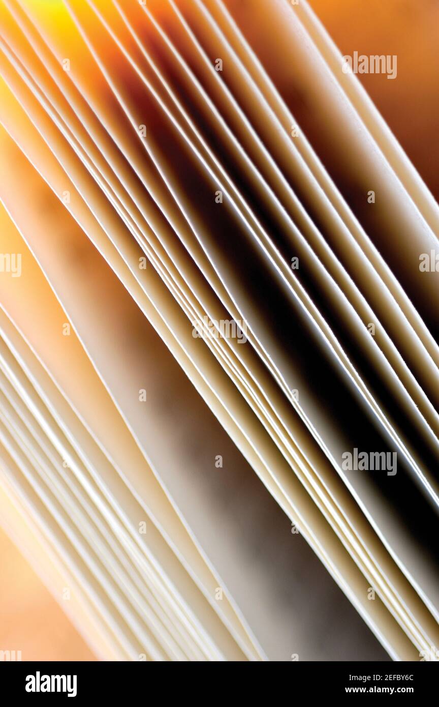 Close-up di pagine di un libro Foto Stock