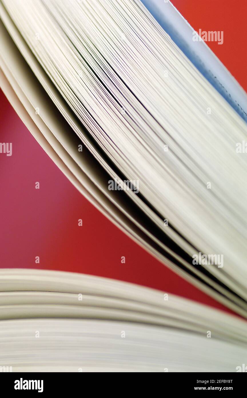 Close-up di un libro aperto Foto Stock