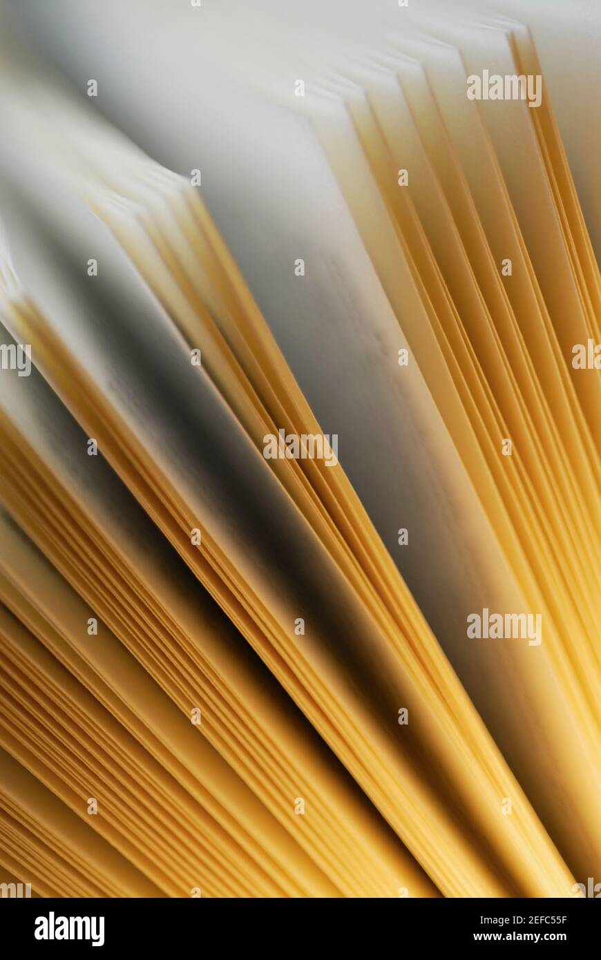 Close-up di un libro aperto Foto Stock