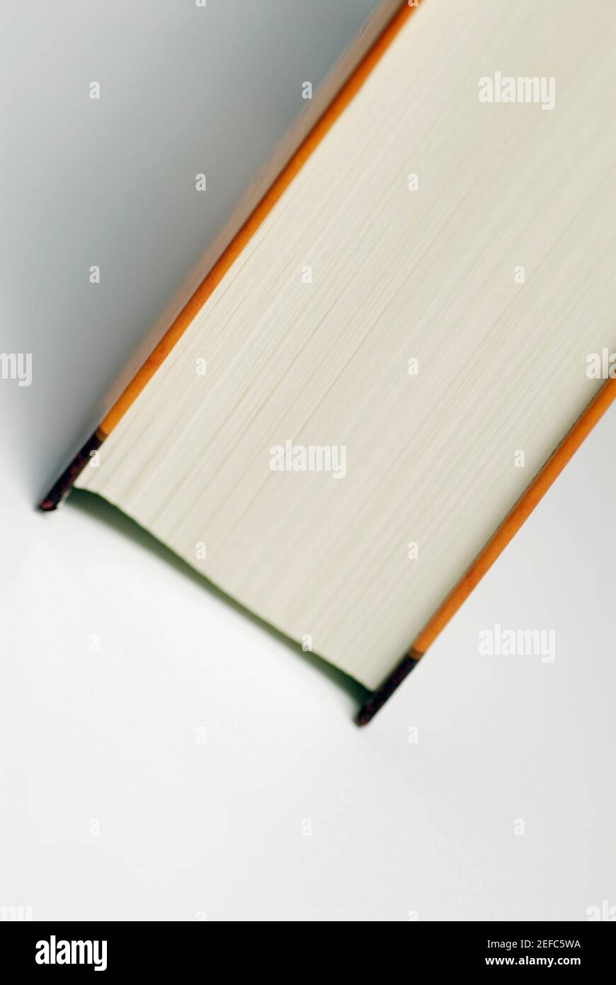 Close-up di un libro Foto Stock