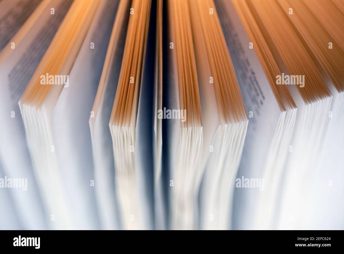 Close-up di un libro aperto Foto Stock