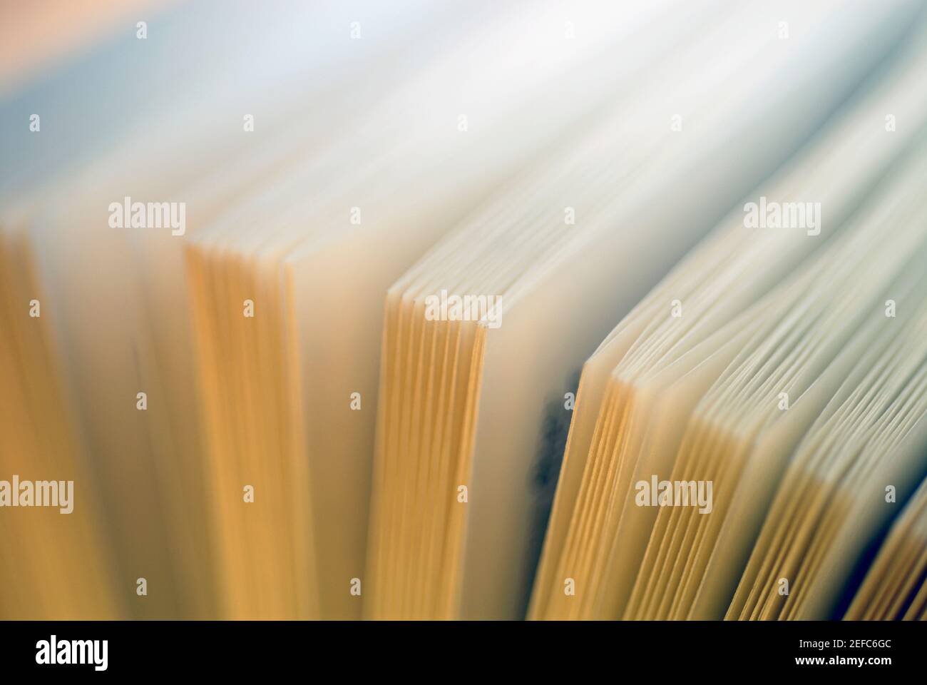 Close-up di un libro aperto Foto Stock