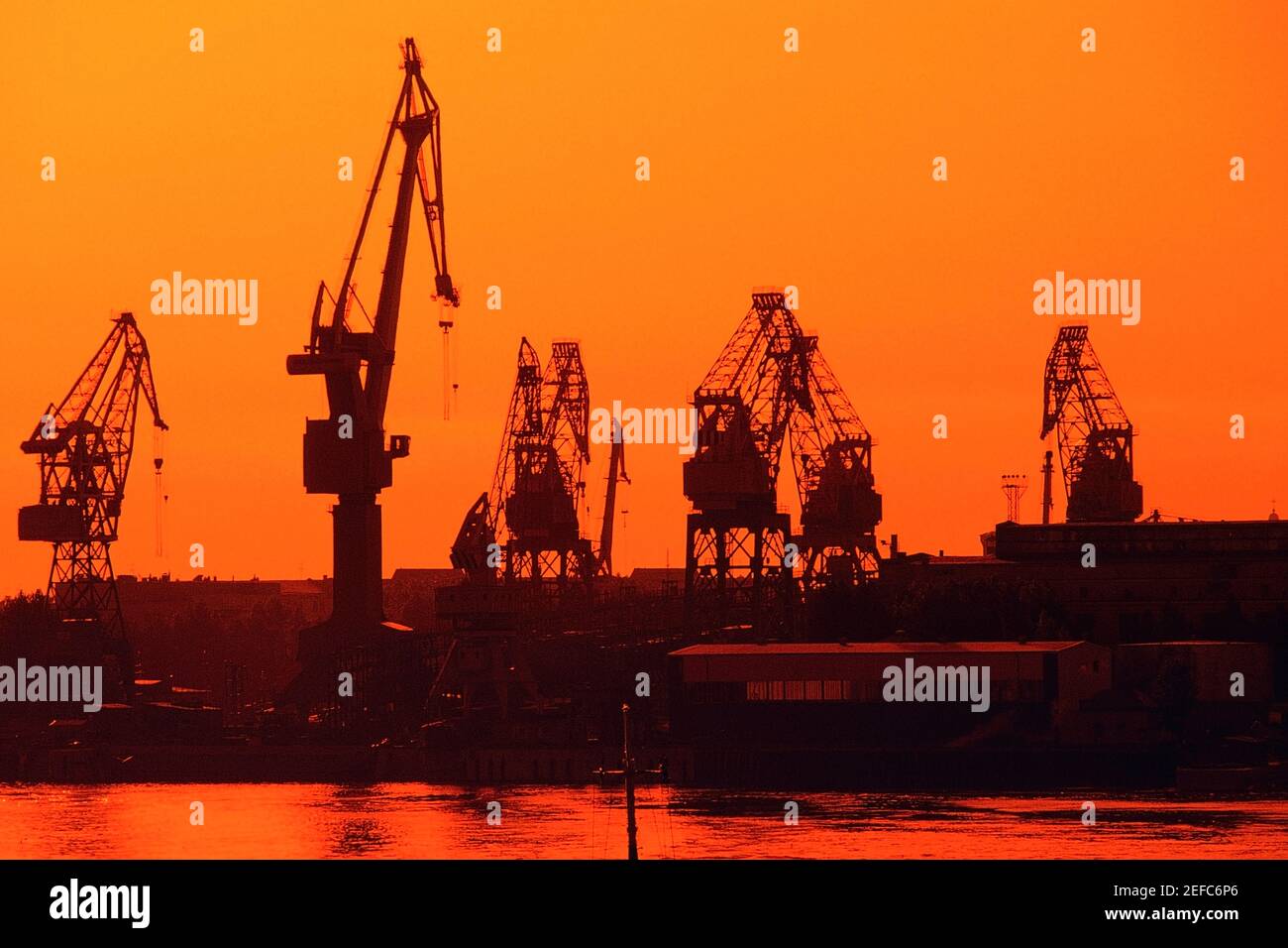 Silhouette di gru al porto, San Pietroburgo, Russia Foto Stock