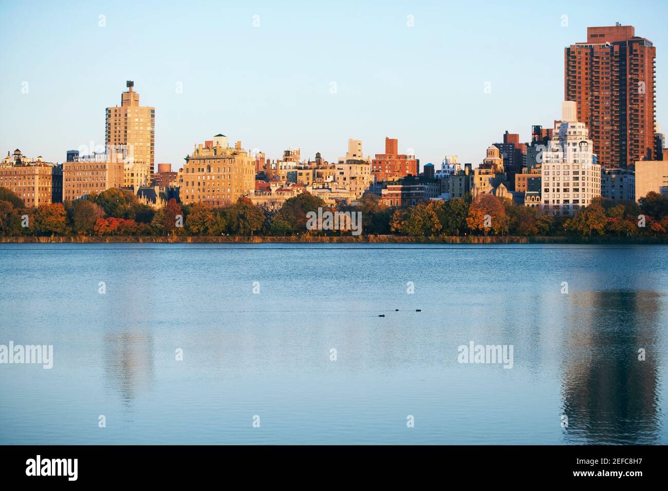 Edifici sul lungomare, Central Park, Manhattan, New York City, New York state, STATI UNITI Foto Stock