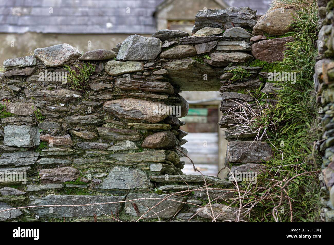 Muro di pietra della vecchia casa abbandonata, contea di Kerry, Irlanda Foto Stock