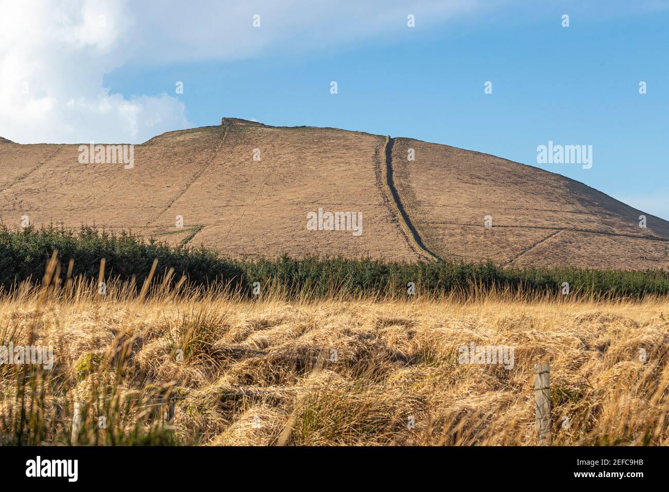 Kerry Cliffs, vicino a Portmagee, Irlanda Foto Stock