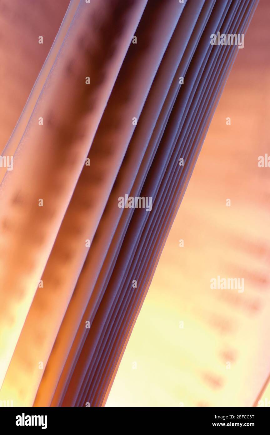 Close-up di un libro aperto Foto Stock
