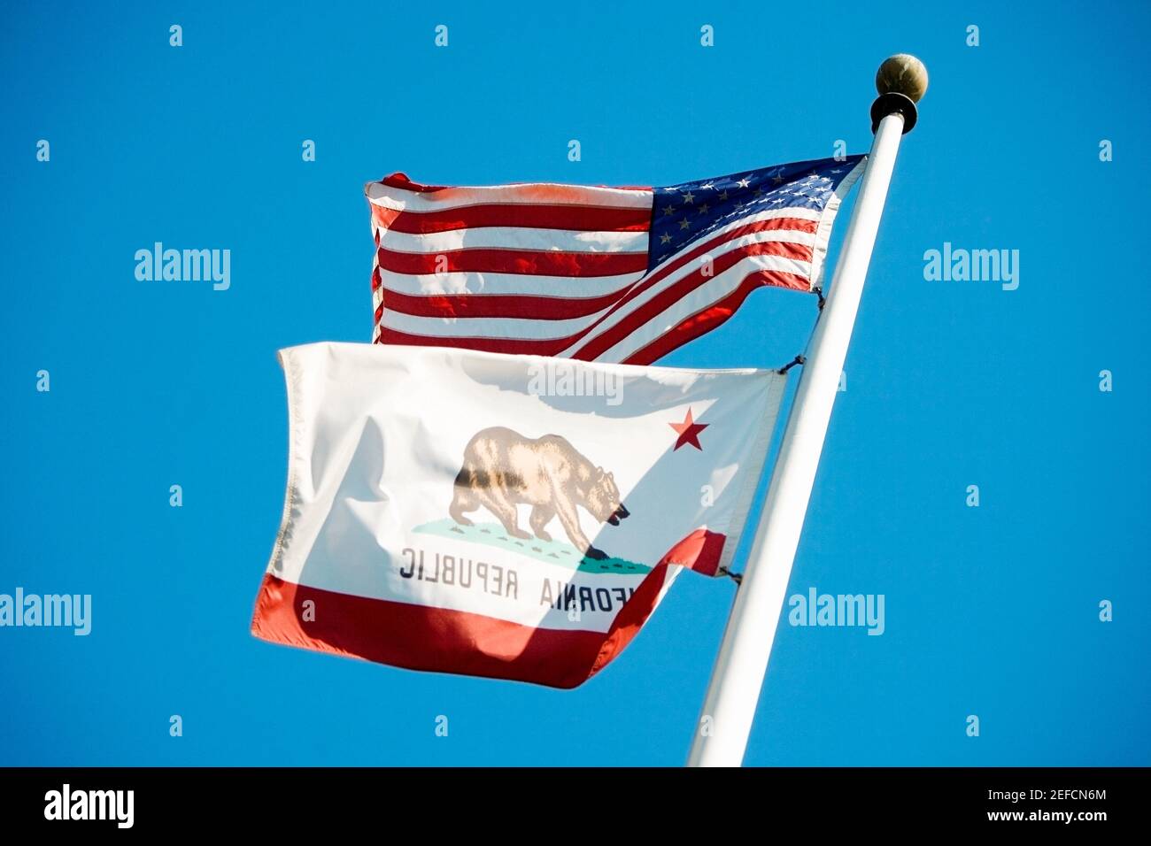 Vista ad angolo basso delle bandiere degli Stati Uniti d'America e della California, California, USA Foto Stock