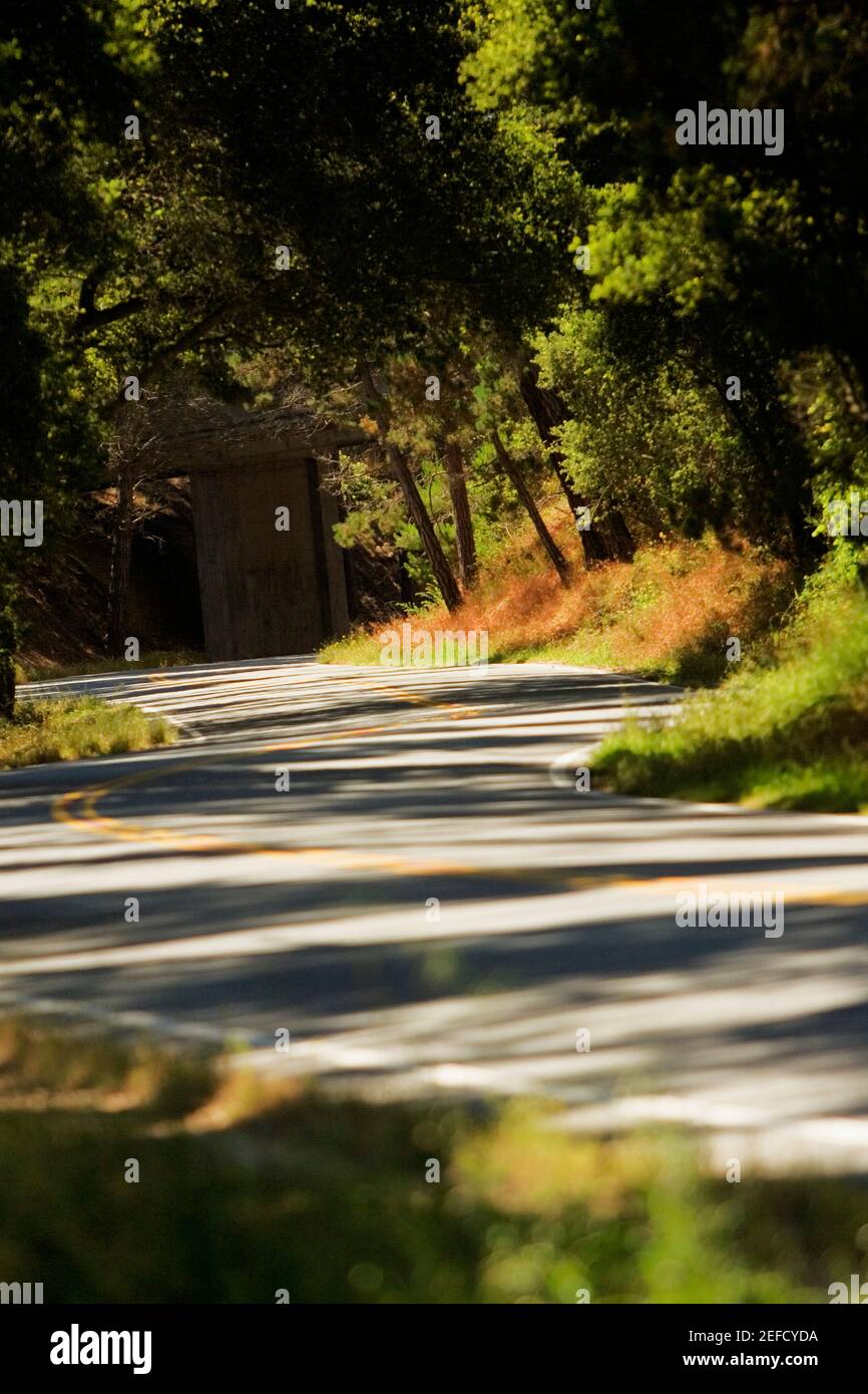 Road passando attraverso una foresta Foto Stock