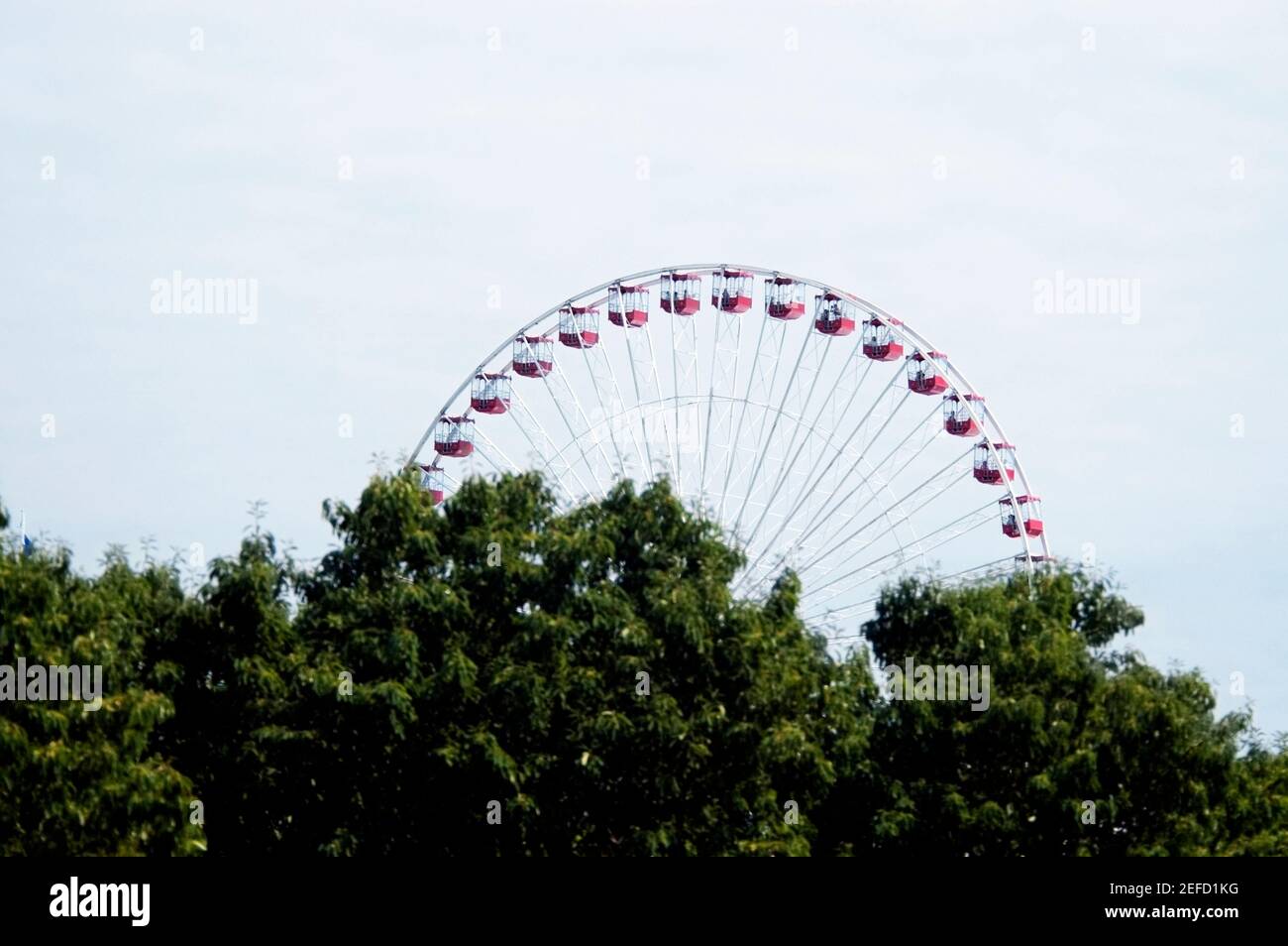 Vista ad angolo basso di una ruota panoramica, Navy Pier Park, Chicago, Illinois, USA Foto Stock