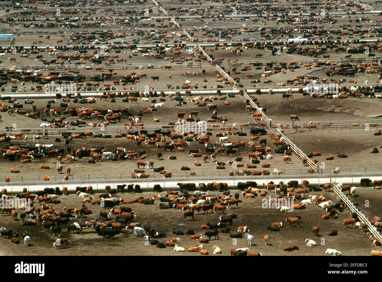 Vista aerea del più grande lotto di bestiame di worldÂ (120,000 capi). Manzo di Monfort, CO Foto Stock