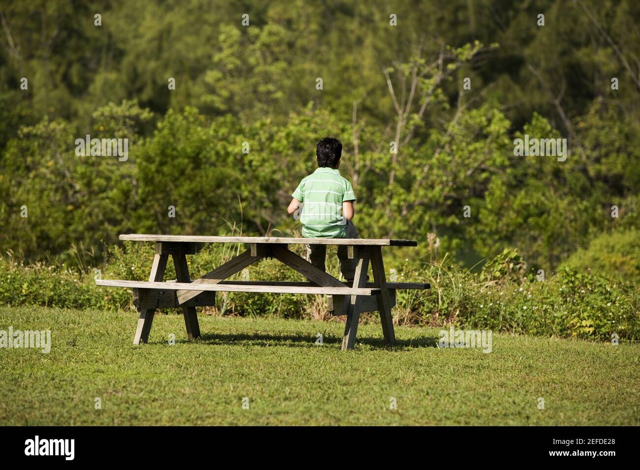 Vista posteriore di un ragazzo seduto su una panchina Foto Stock