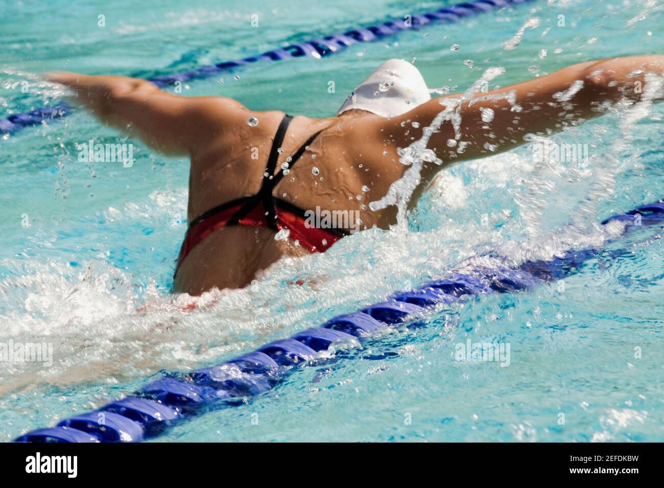 Vista posteriore di una donna di nuoto in piscina Foto Stock