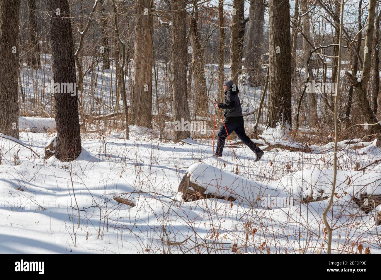 Milford, Michigan - UNO sciatore di fondo a Kensington Metropark. Foto Stock