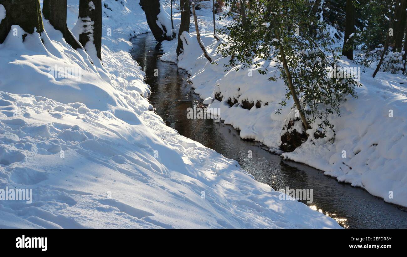 Ruscello naturale che scorre in inverno, i pendii coperti di neve fresca, luce solare scintillante in acqua Foto Stock