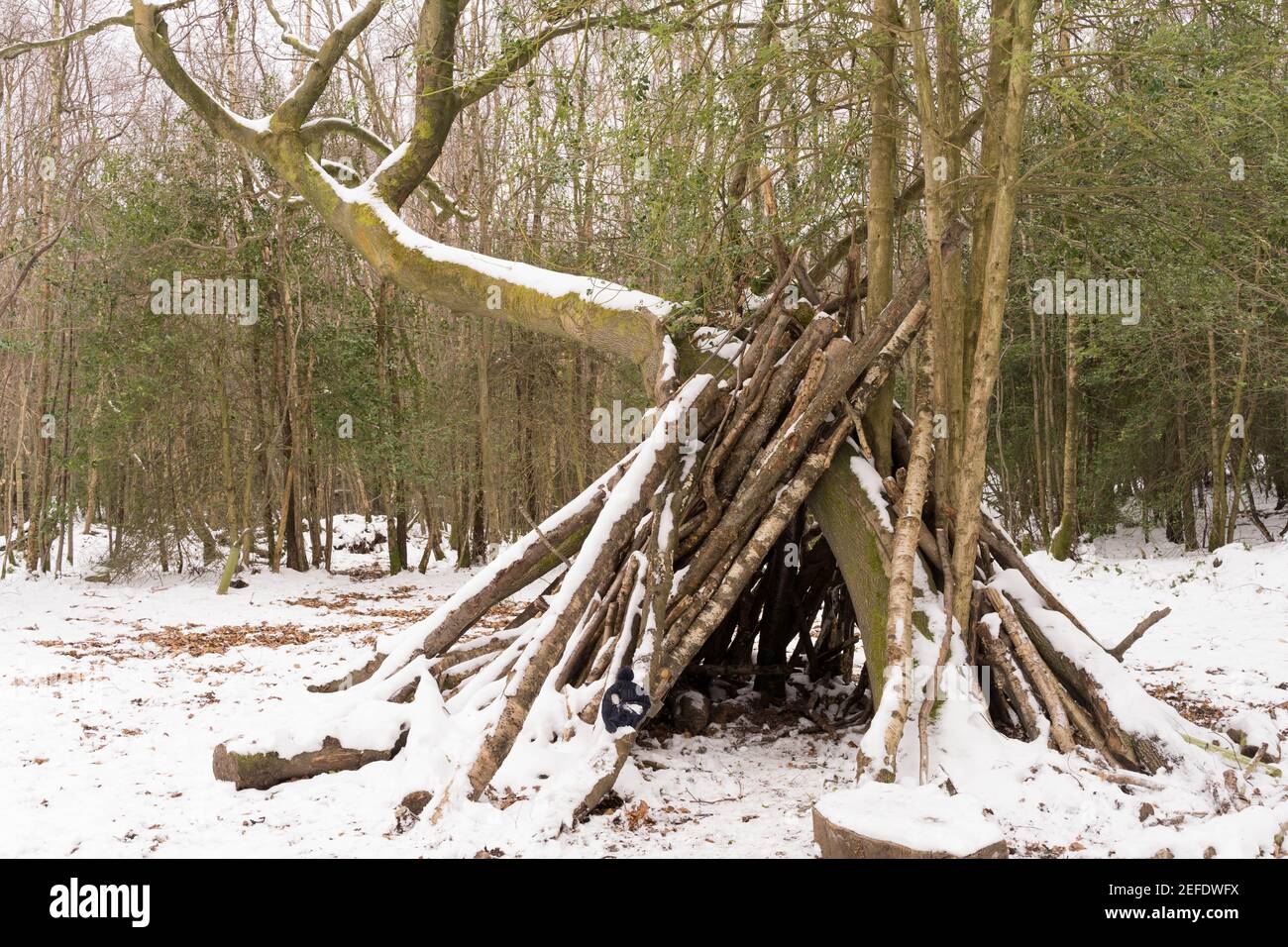 capanna di alberi di bosco di ramoscelli e rami ricoperti di neve Foto Stock