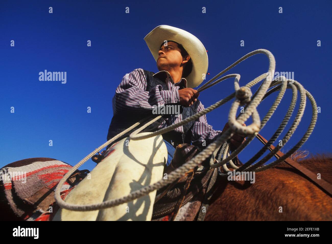 Vista ad angolo basso di un cowboy a cavallo, Texas, Stati Uniti Foto Stock