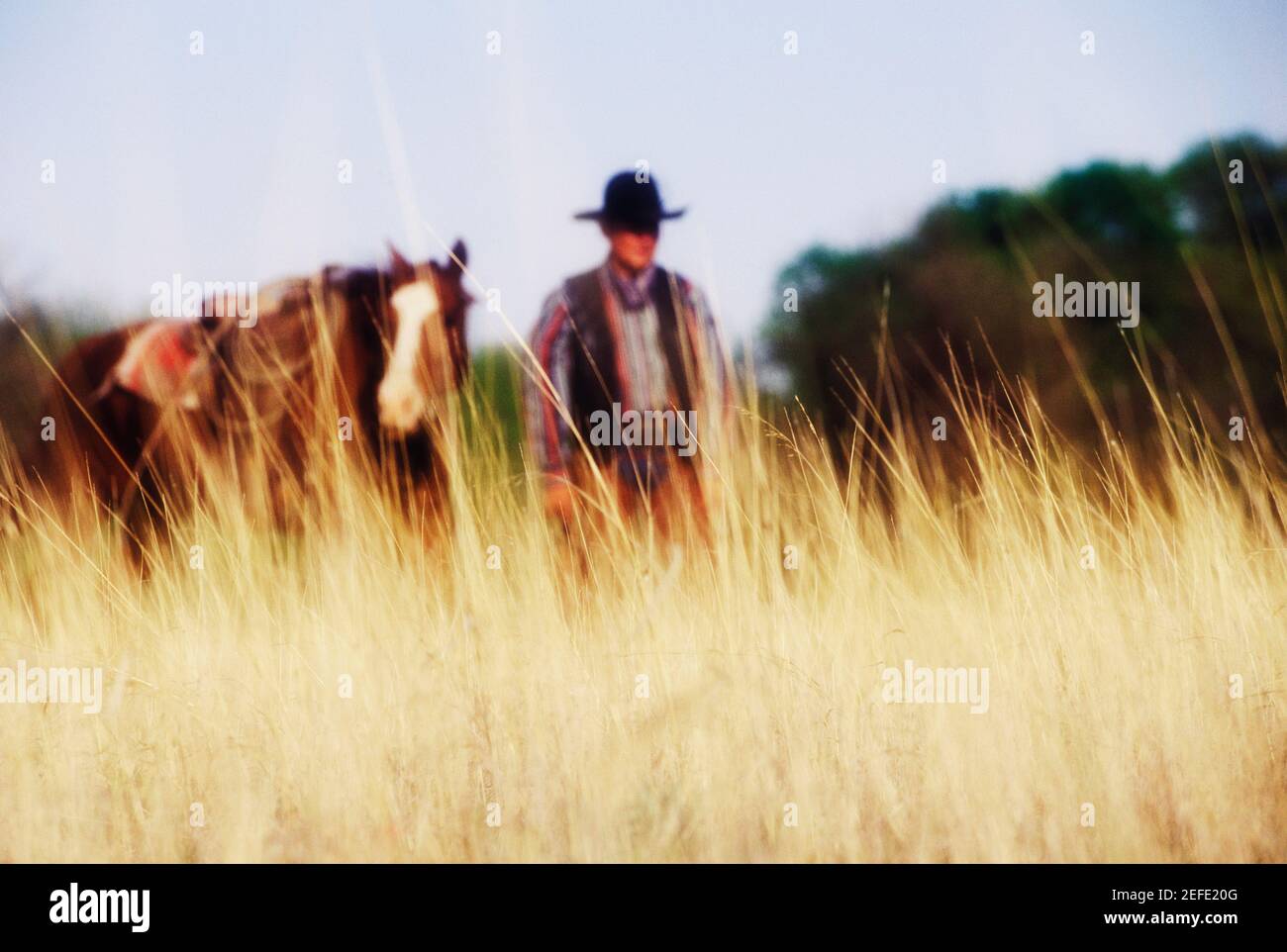 Cowboy in piedi con un cavallo, Texas, Stati Uniti Foto Stock