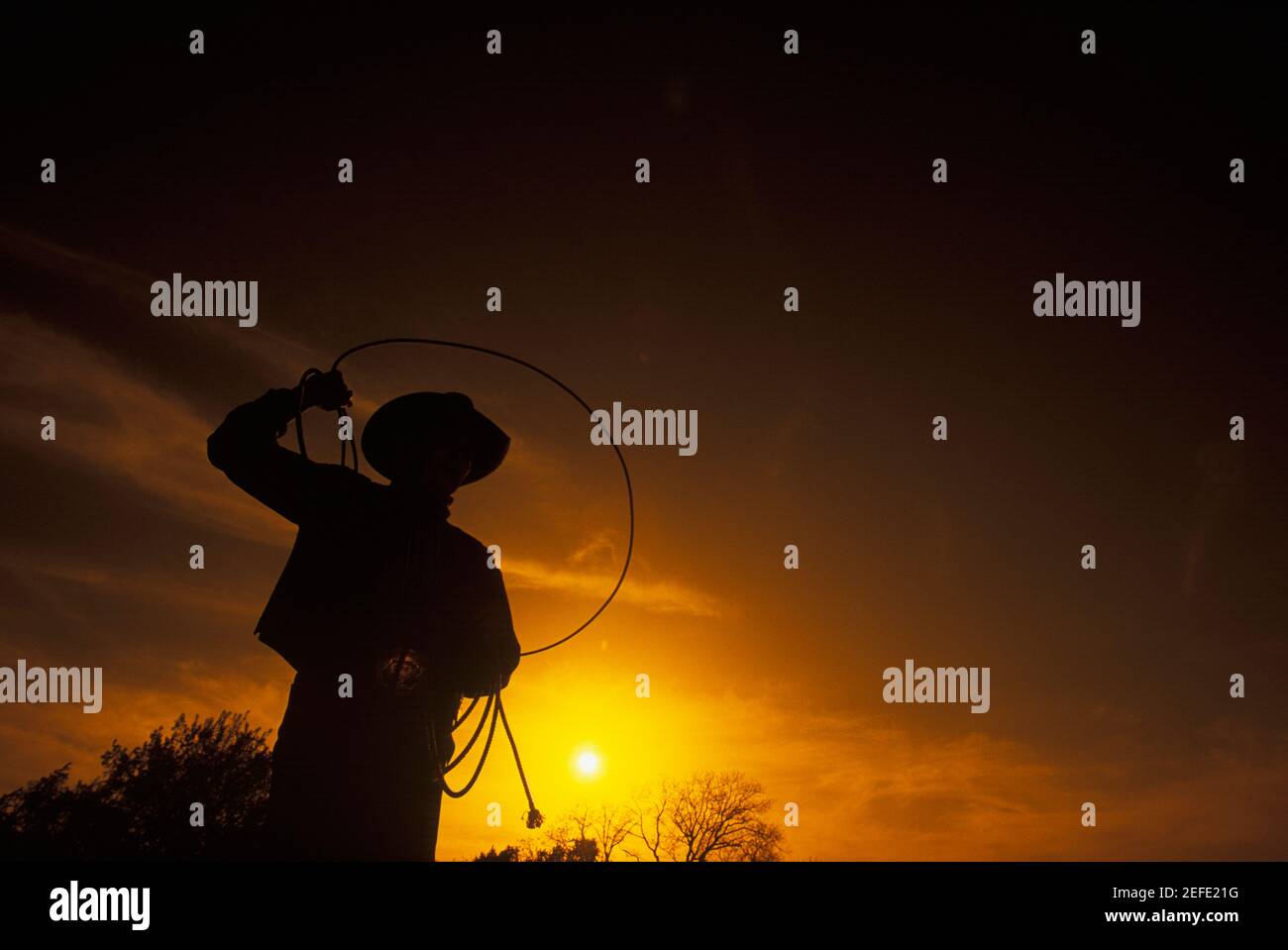 Silhouette di un cowboy Foto Stock