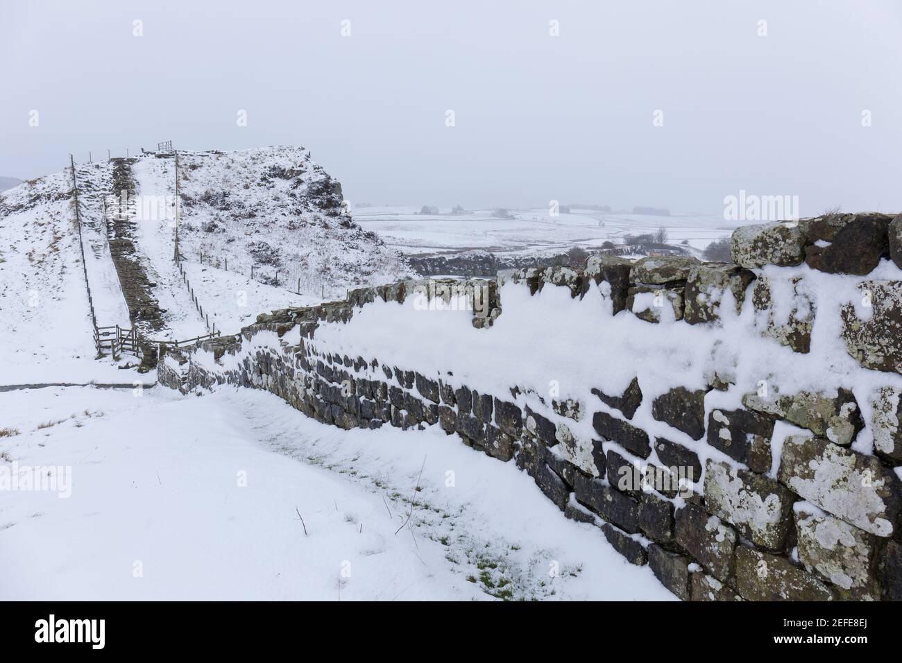 Il Muro di Adriano a Cawfield, vicino a Milecastle 42 - Northumberland, Regno Unito Foto Stock