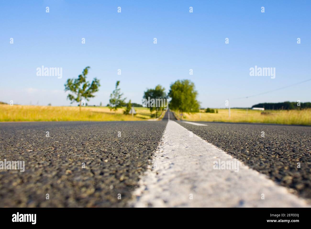 Strada che attraversa un campo, Valle della Loira, Francia Foto Stock