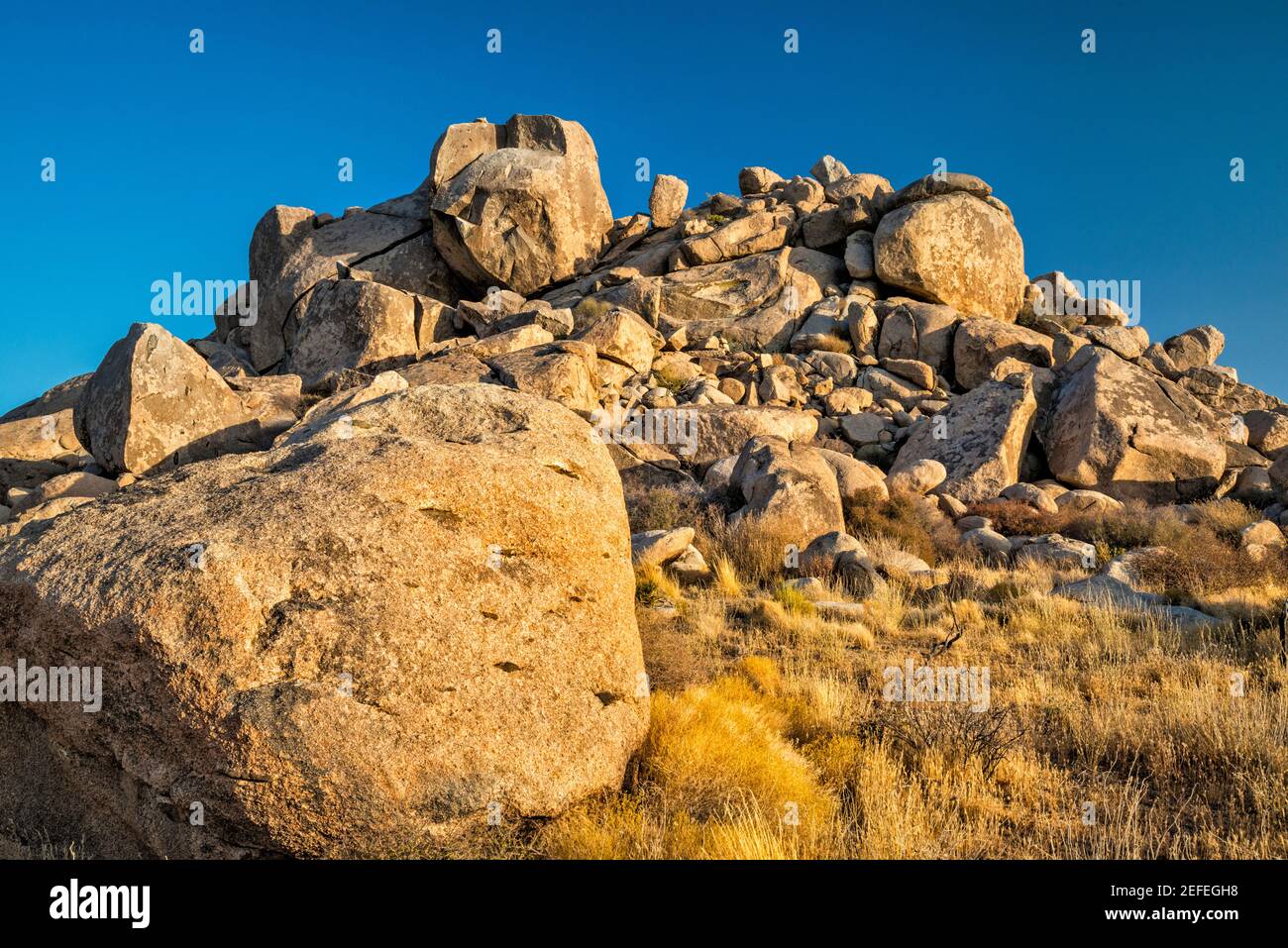 Formazioni rocciose di granito, Wild Horse Canyon Road, vicino al Mid Hills Campground, Mojave National Preserve, California, USA Foto Stock