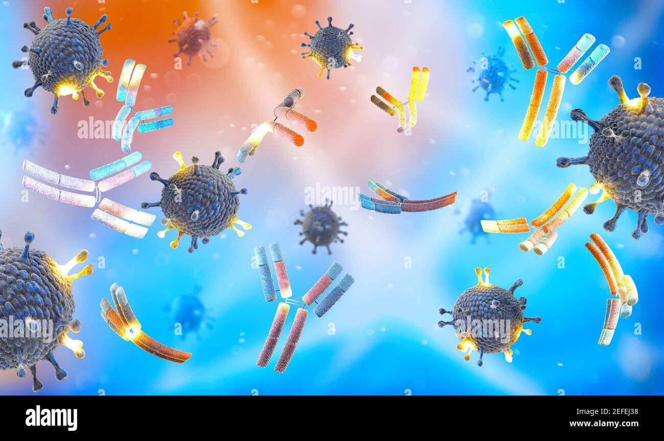 Un anticorpo monoclonale (mAb o Moab) è un anticorpo prodotto clonando un unico globuli bianchi. Coronavirus. Covid-19. Virus Foto Stock