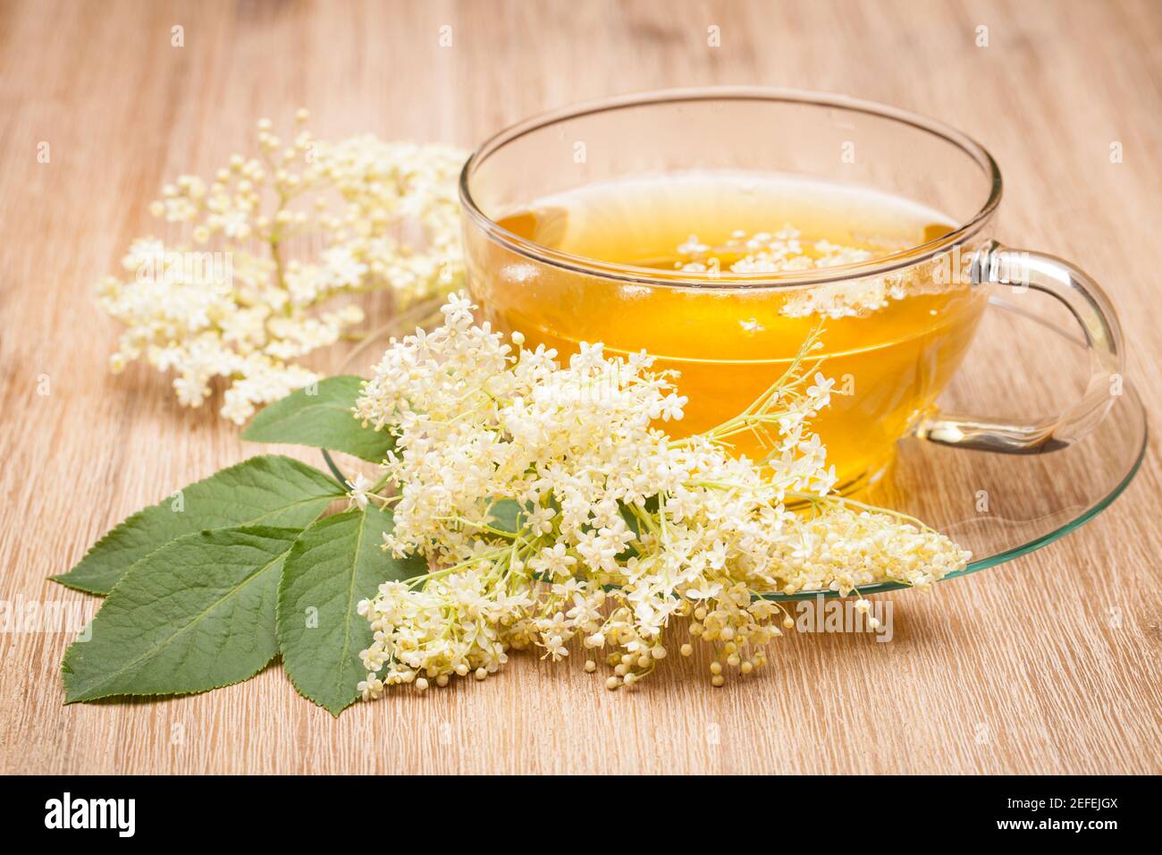 Sambuco (Sambucus nigra) Holunderblütentee su tavola di legno Foto Stock