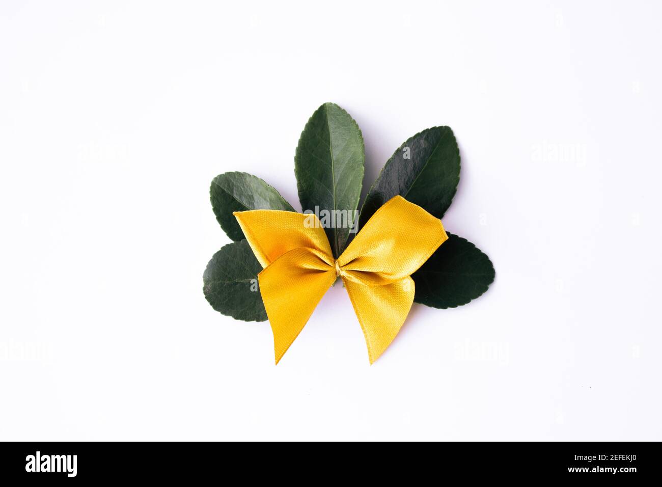 Foglie fresche verdi con arco giallo isolato su sfondo bianco. Foto Stock