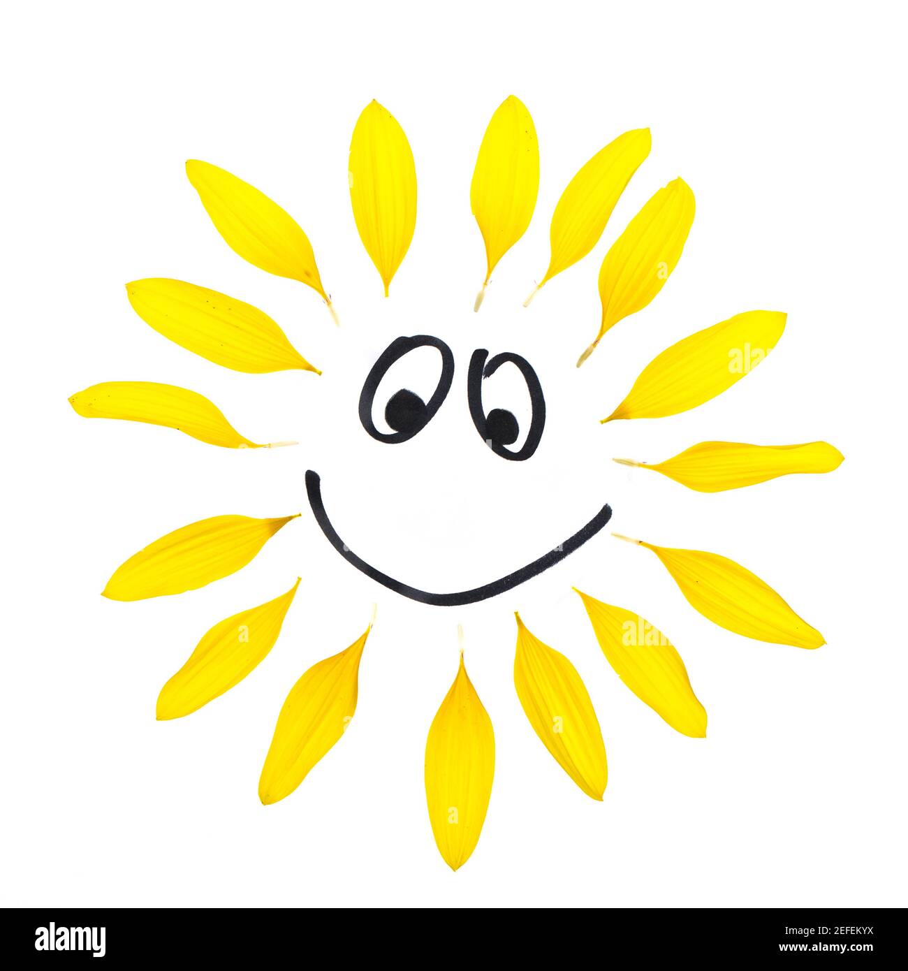 Disegno a linee con petali di girasole Foto Stock