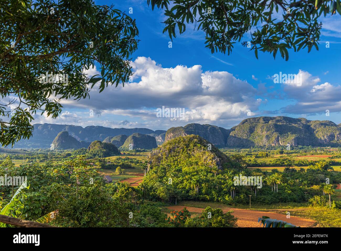 Bella vista delle gobbe della valle di Vinales, Cuba Foto Stock