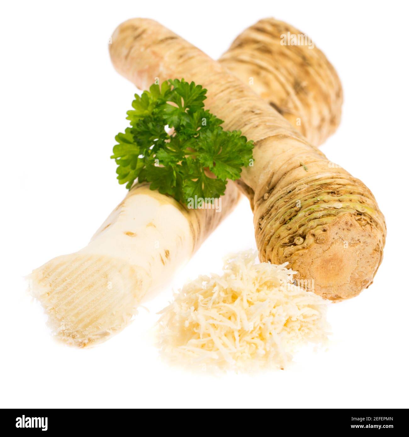 Due radici di rafano di cavallo isolato su sfondo bianco Foto Stock