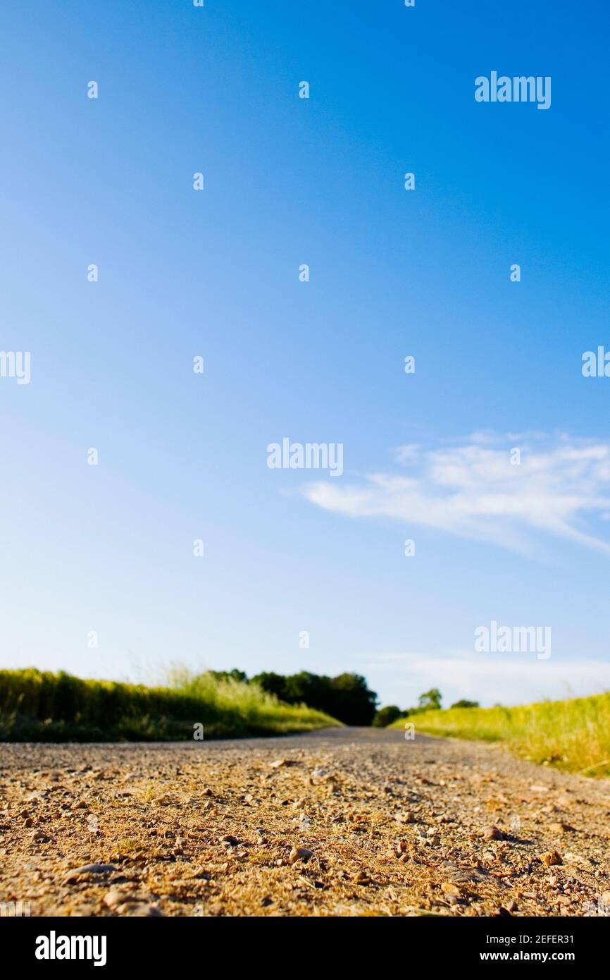 Strada sterrata che attraversa un campo, Valle della Loira, Francia Foto Stock
