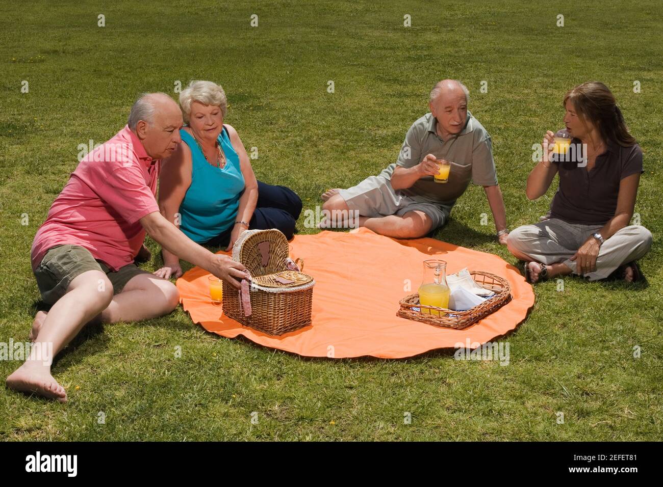 Vista ad alto angolo di due coppie anziane in un picnic Foto Stock