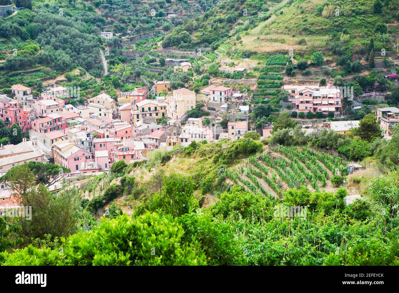 Edifici in una città, Mar Ligure, Riviera Italiana, Monterosso al Mare, cinque Terre, La Spezia, Liguria, Italia Foto Stock