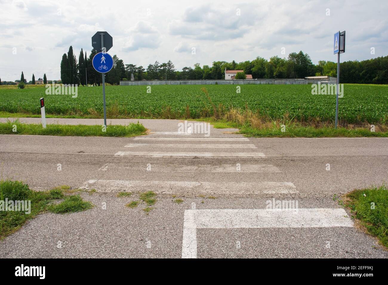 Un passaggio pedonale dove una pista ciclabile laterale attraversa una strada di campagna in Friuli-Venezia Giulia, NE Italia. Un cimitero rurale è sullo sfondo Foto Stock