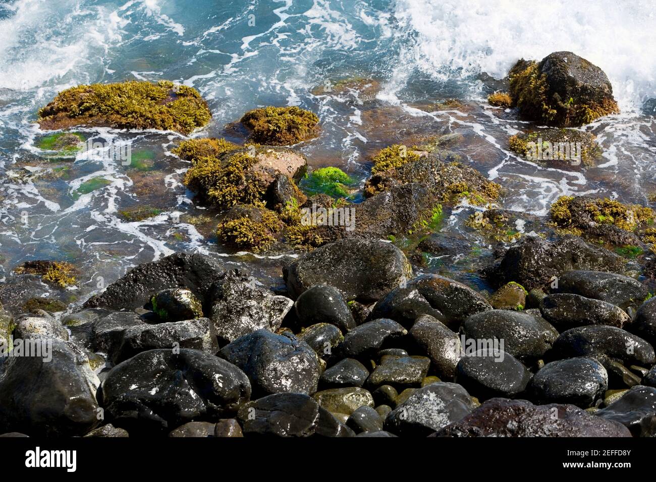 Vista ad alto angolo delle rocce sulla spiaggia, Hookipa Beach Park, Maui, Hawaii Islands, USA Foto Stock