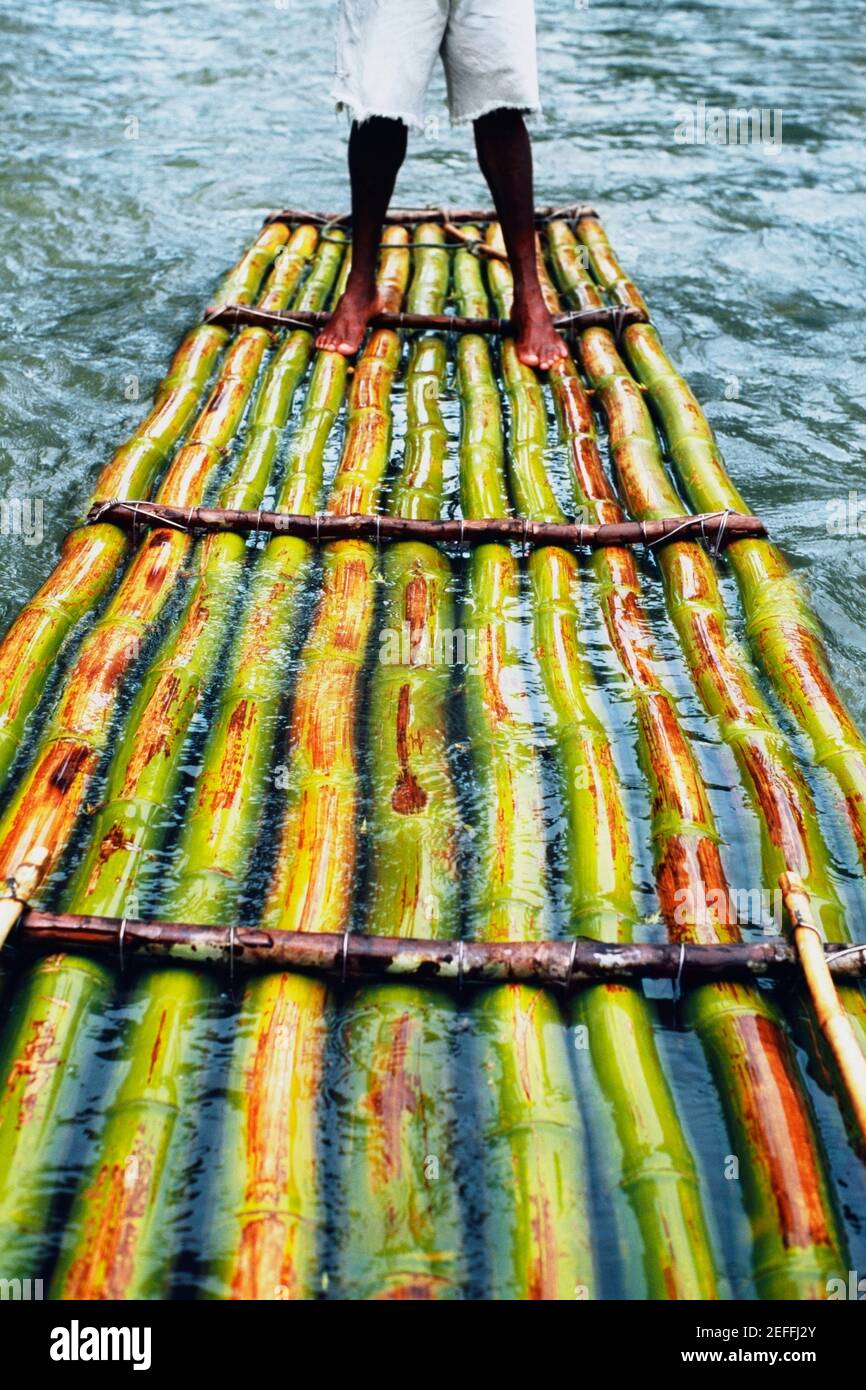 Una zattera di bambù è visto galleggiare lungo il fiume Martha Brae, Giamaica Foto Stock